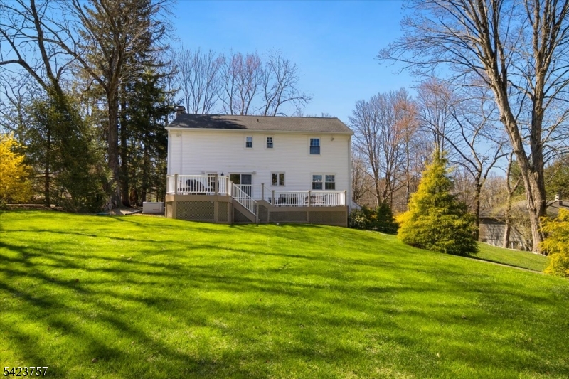 7 Main Street Randolph, NJ 07869 - Photo 35 of 42