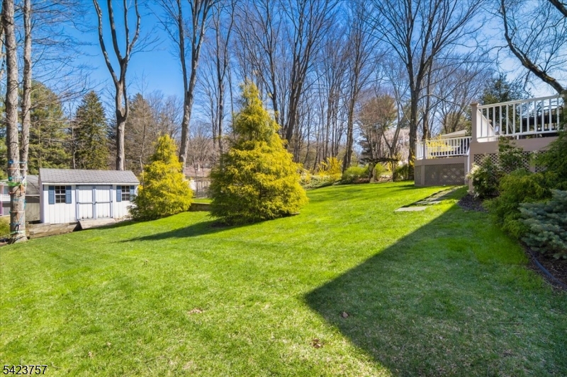 7 Main Street Randolph, NJ 07869 - Photo 37 of 42