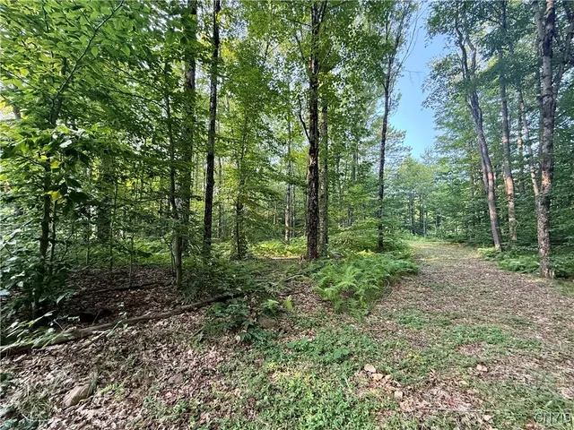 $60,000 | 11470 River Road, Florence, NY 13316