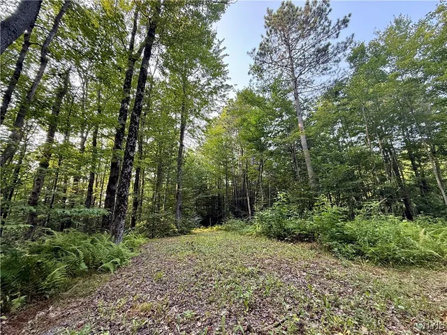 $60,000 | 11470 River Road, Florence, NY 13316