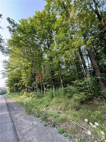 $60,000 | 11470 River Road, Florence, NY 13316