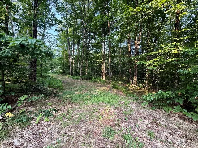 $60,000 | 11470 River Road, Florence, NY 13316