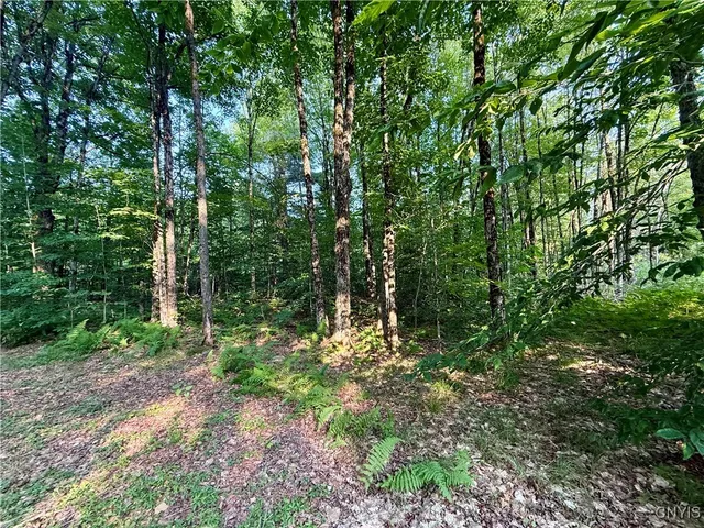 $60,000 | 11470 River Road, Florence, NY 13316