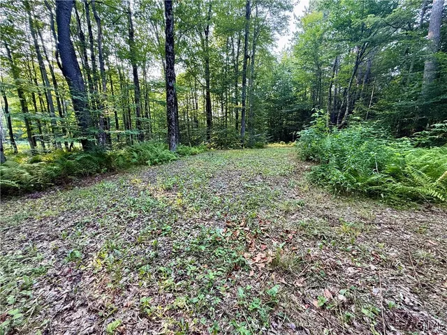 $60,000 | 11470 River Road, Florence, NY 13316