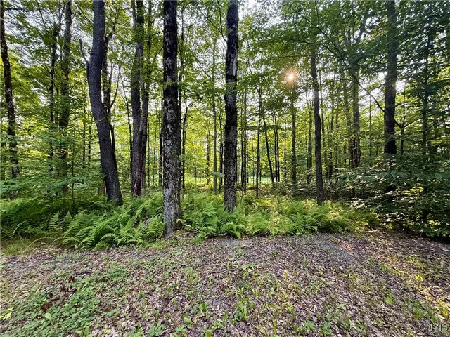 $60,000 | 11470 River Road, Florence, NY 13316