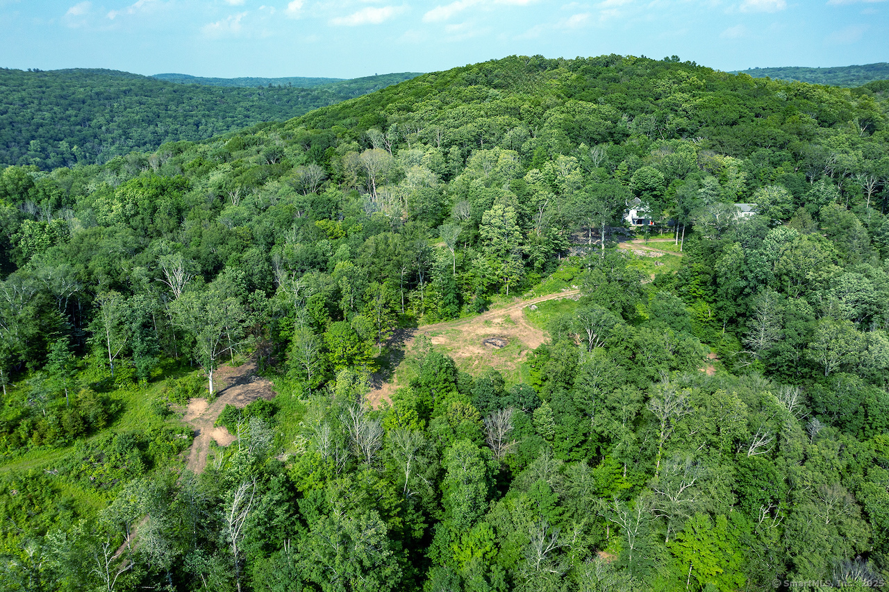 178 Carter Road Kent, CT 06754 - Photo 4 of 37 a view of a lush green forest