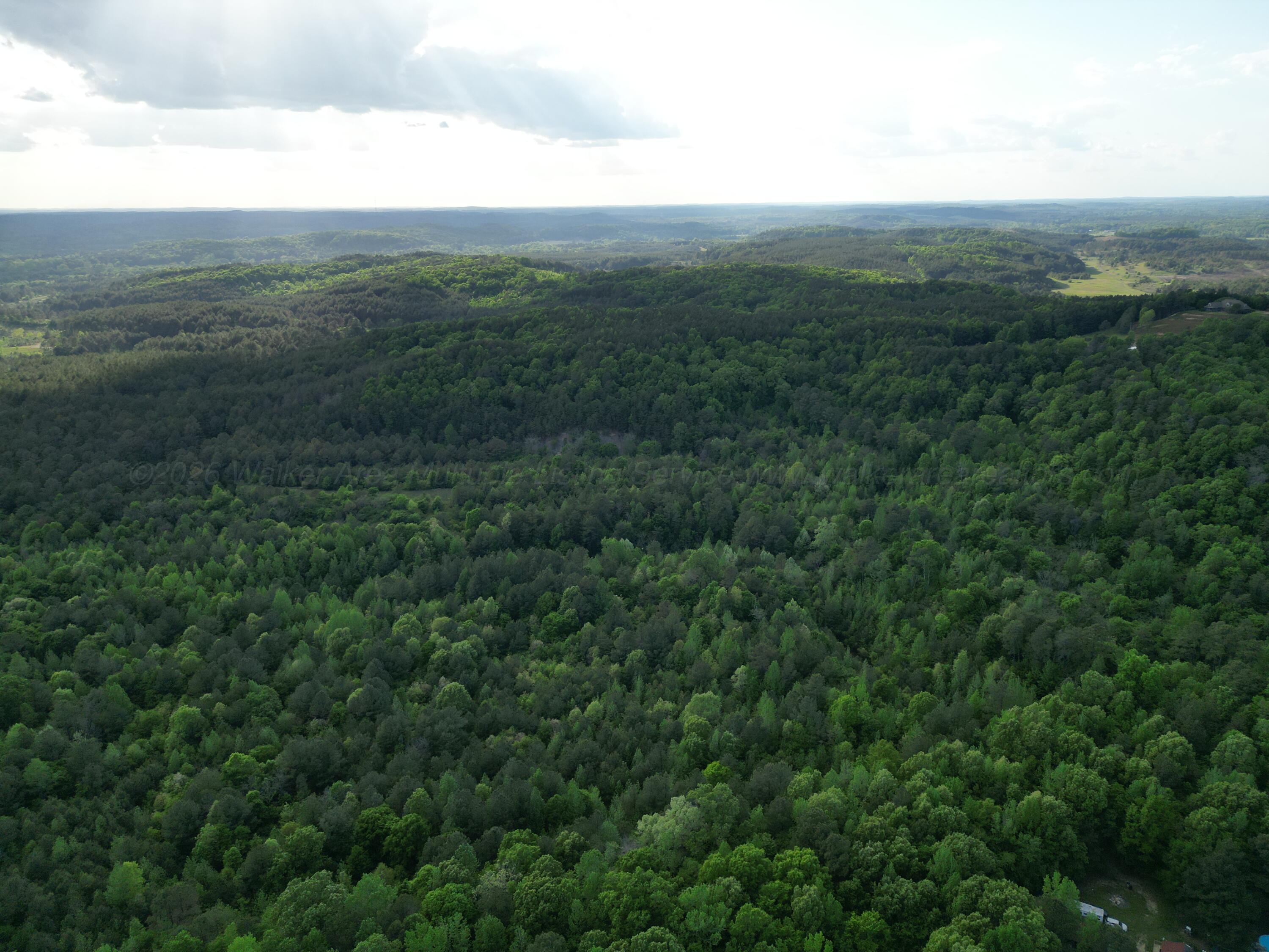 0 Dogtown Road Carbon Hill, AL 35549 - Photo 8 of 23 dji_fly_20260414_031238_713_177638894136