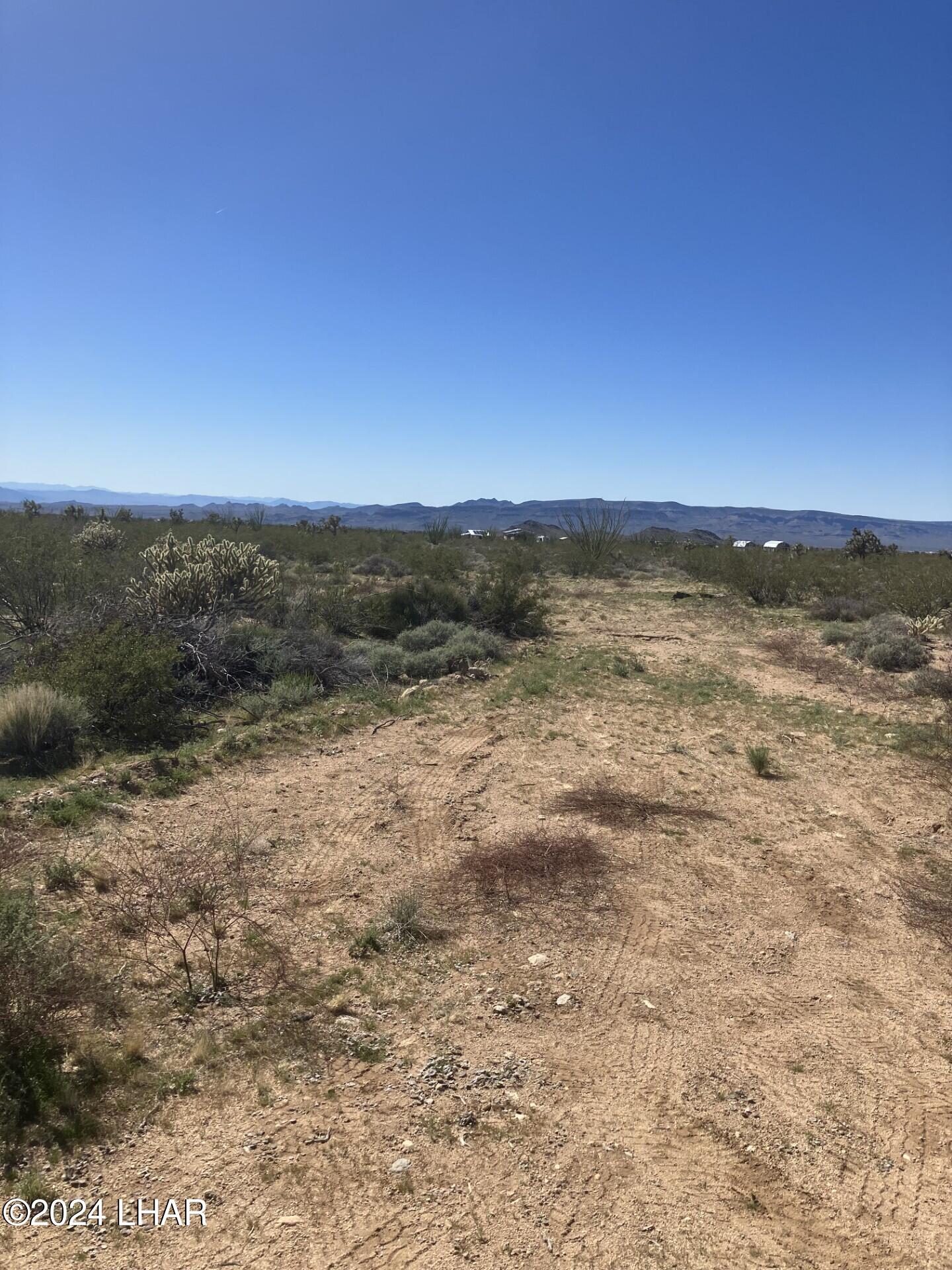 6 Rutz Road Yucca, AZ 86438 - Photo 1 of 4 Pic 2