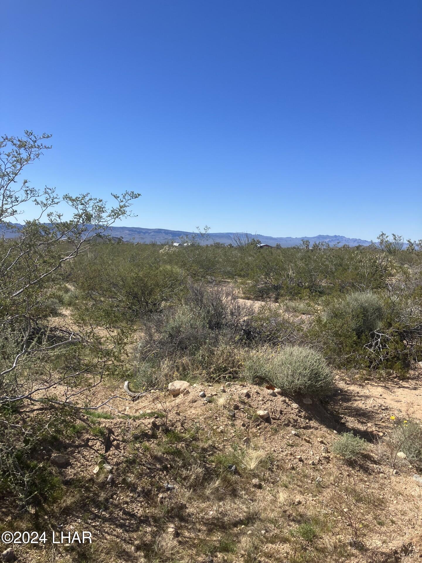6 Rutz Road Yucca, AZ 86438 - Photo 3 of 4 Pic1