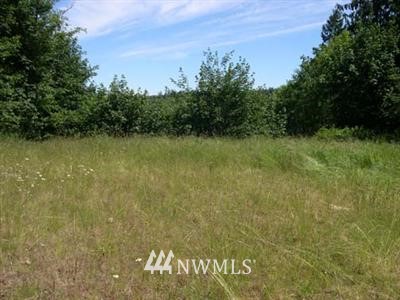 5 Lords Lake Loop Road Quilcene, WA 98376 - Photo 1 of 1