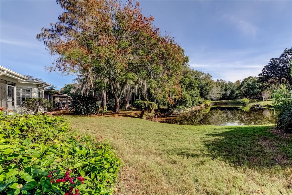 3522 Player Drive New Port Richey, FL 34655 - Photo 48 of 52 Gallery Image 48