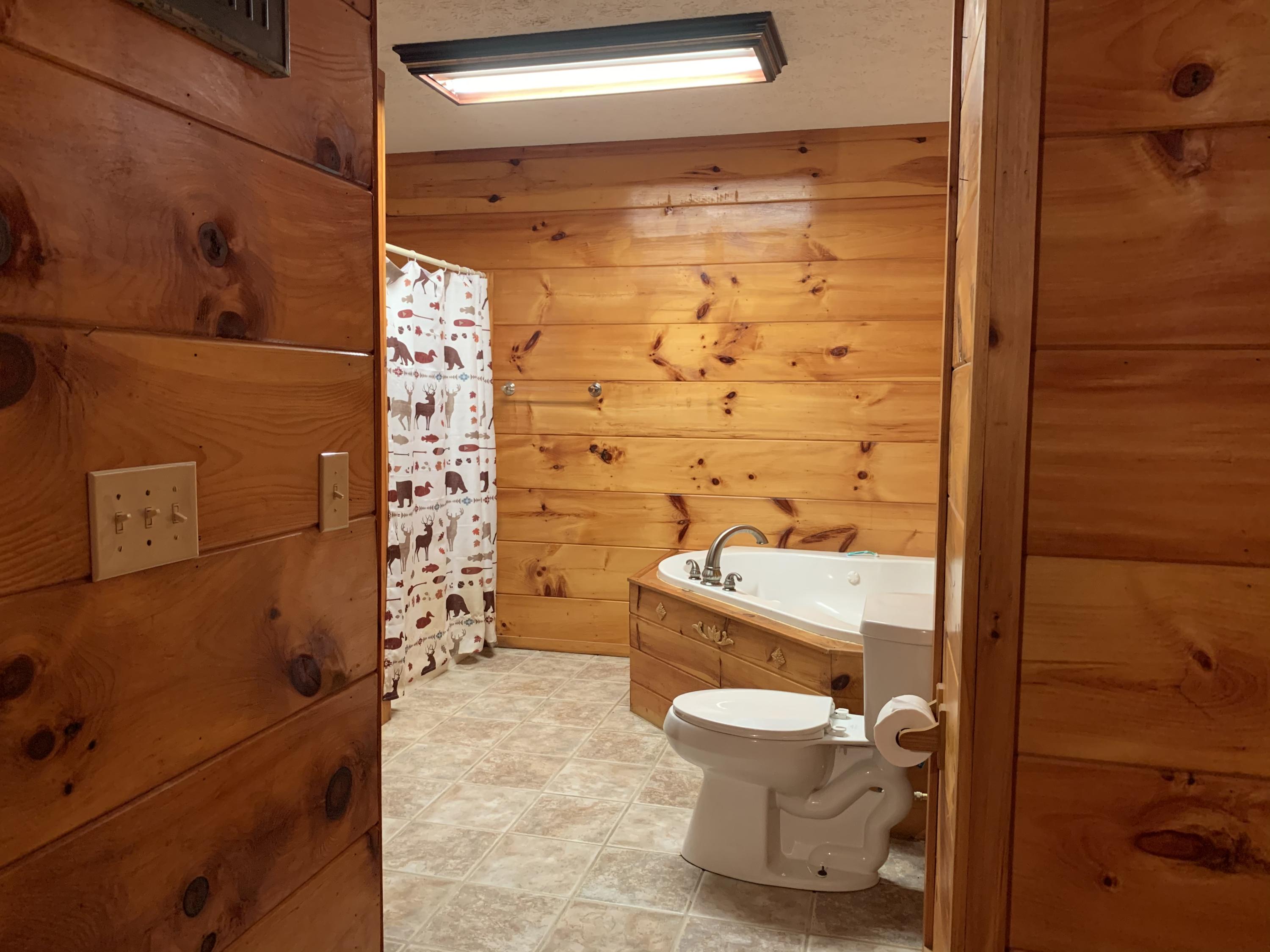 250 Back Creek Road Greeneville, TN 37743 - Photo 3 of 20 F03F2AAA-C254-438D-A54E-A83448D7D168