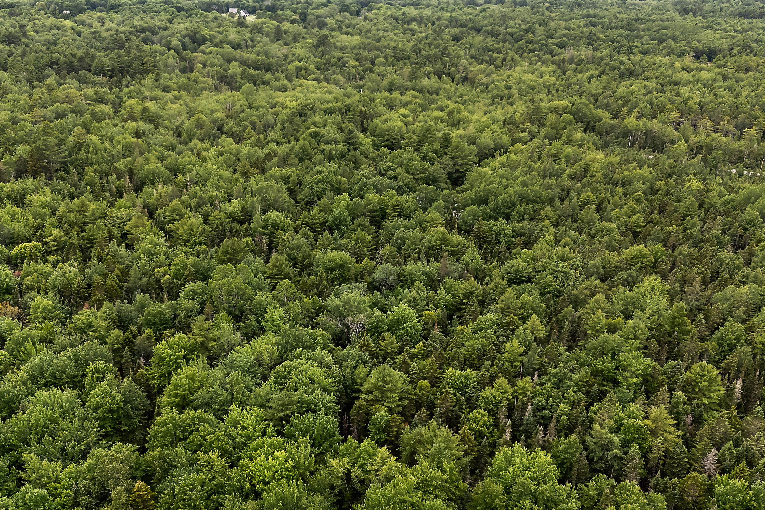 273 Feylers Corner Road Waldoboro, ME 04572 - Photo 16 of 28 273 Feylers Corner Rd_0116