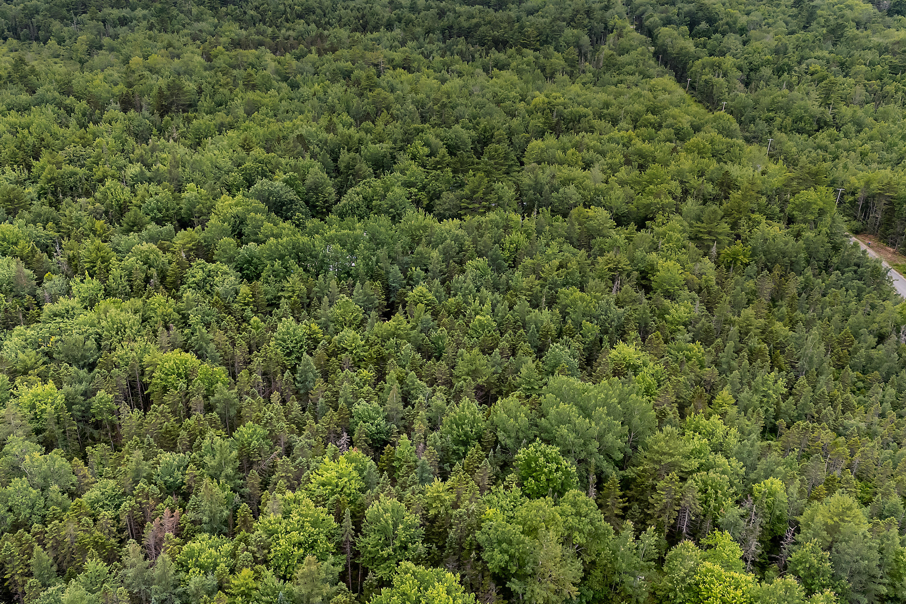 273 Feylers Corner Road Waldoboro, ME 04572 - Photo 22 of 28 273 Feylers Corner Rd_0122