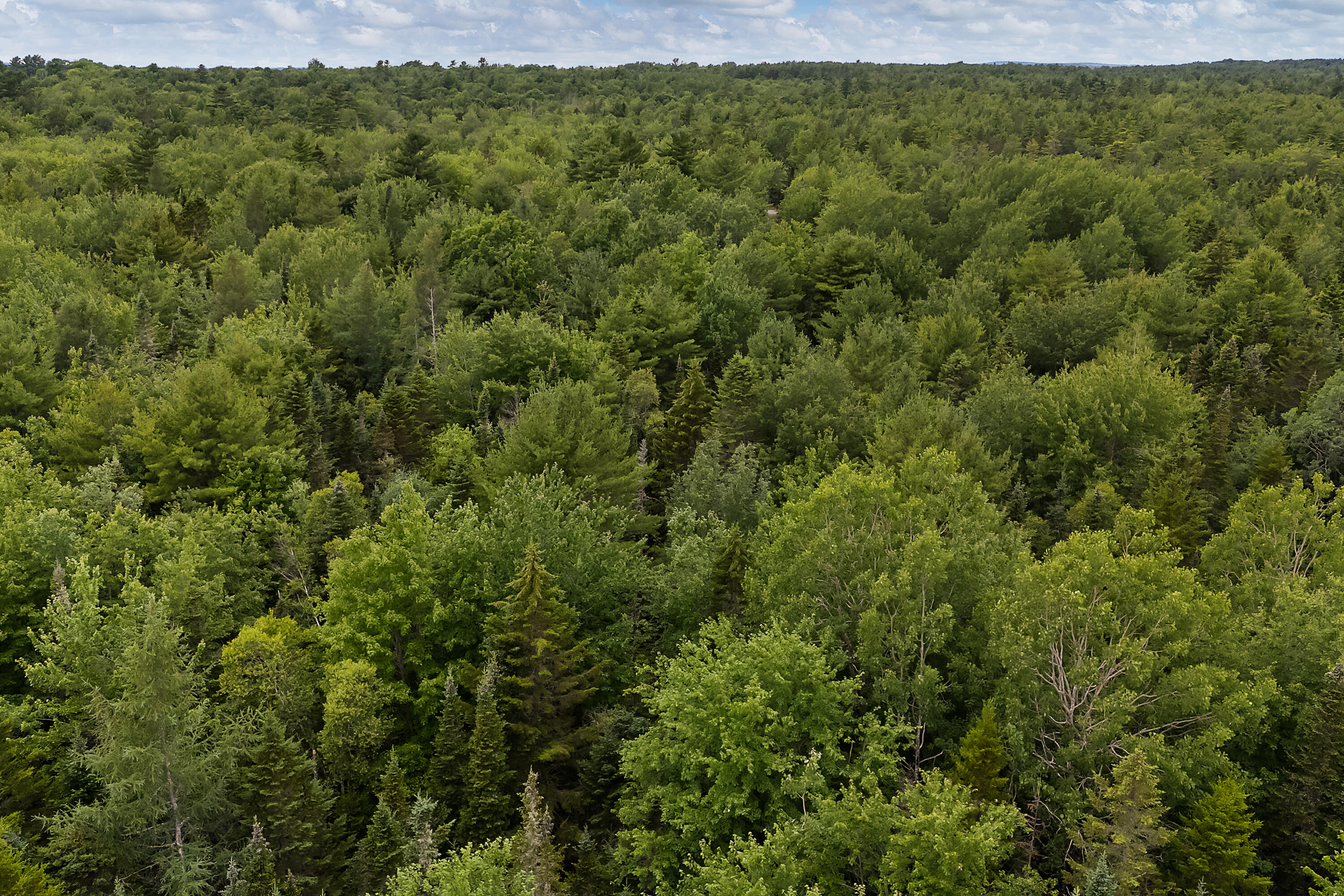 273 Feylers Corner Road Waldoboro, ME 04572 - Photo 24 of 28 273 Feylers Corner Rd_0124