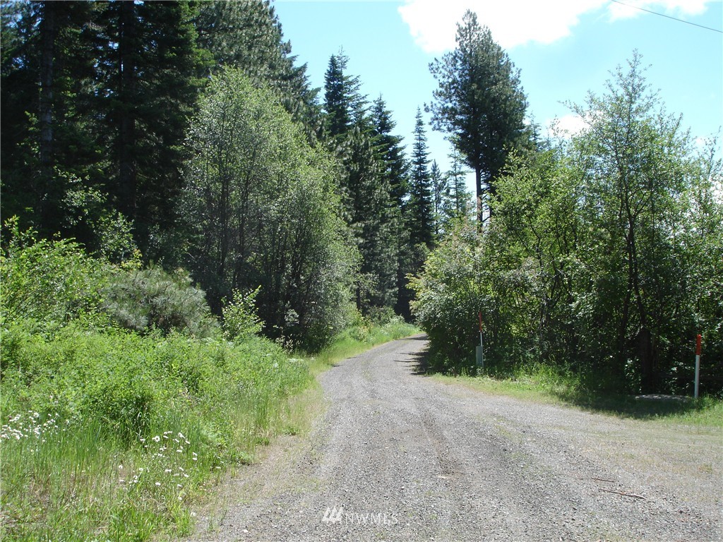 281 Oddson Road Ronald, WA 98940 - Photo 2 of 6 Gallery Image 2