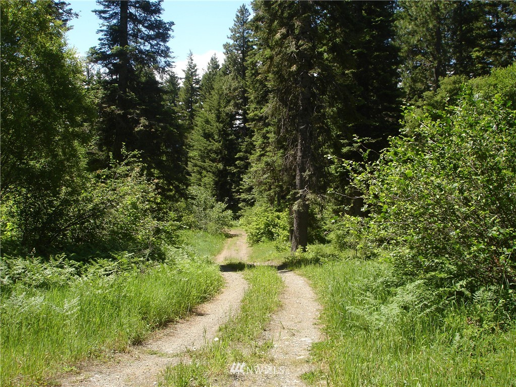 281 Oddson Road Ronald, WA 98940 - Photo 3 of 6 Gallery Image 3