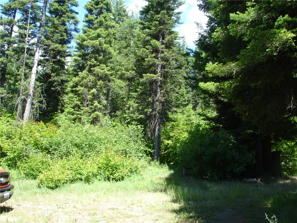 281 Oddson Road Ronald, WA 98940 - Photo 6 of 6 Gallery Image 6