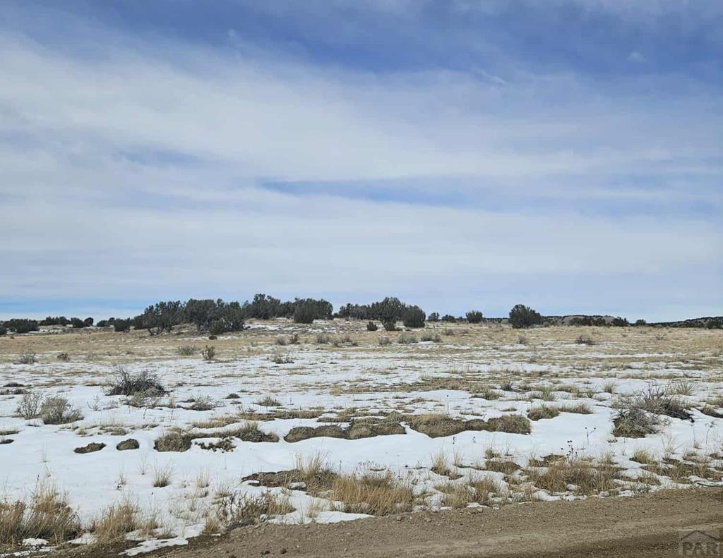 0 County Road 93.9 Model, CO 81059 - Photo 1 of 7