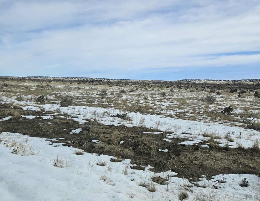 0 County Road 93.9 Model, CO 81059 - Photo 3 of 7