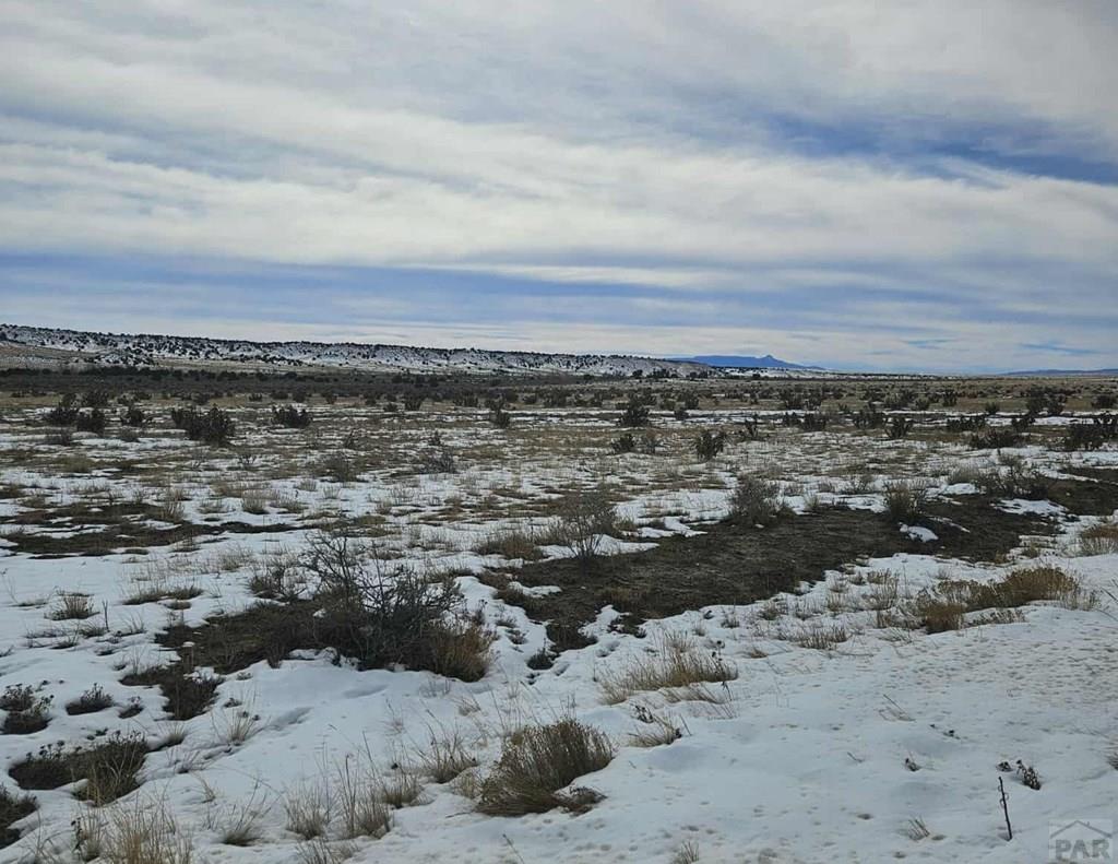 0 County Road 93.9 Model, CO 81059 - Photo 5 of 7