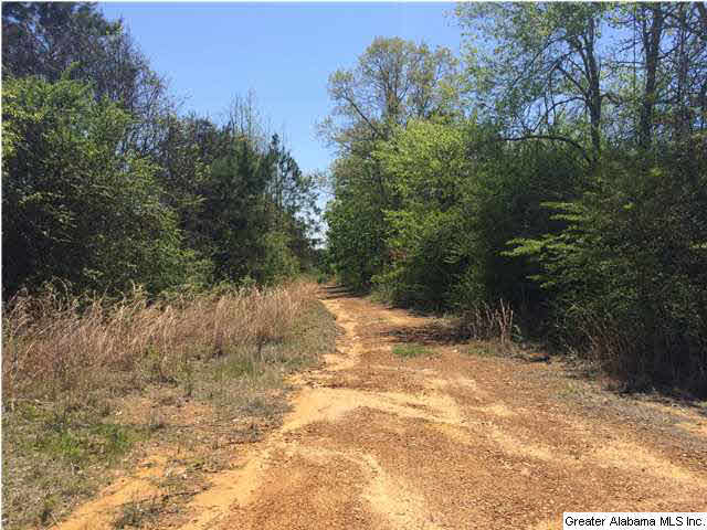 3970 Tanner Road, Unit 10 ACRES Dora, AL 35062 - Photo 3 of 7