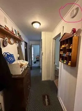 $310,000 | 29 East 16th Street, Holland, MI 49423