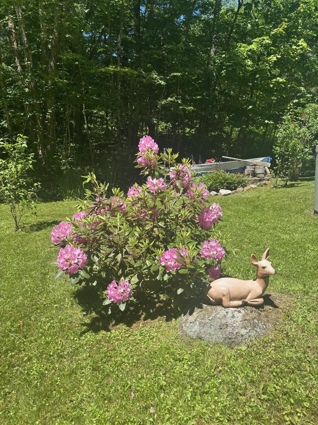 530 Marlow Road Washington, NH 03280 - Photo 15 of 18