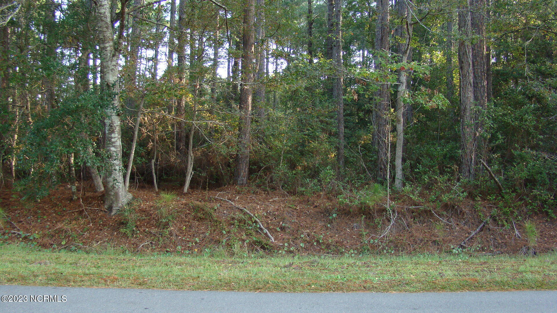 250 Boundary Loop Road Northwest Calabash, NC 28467 - Photo 7 of 7 DSC05049
