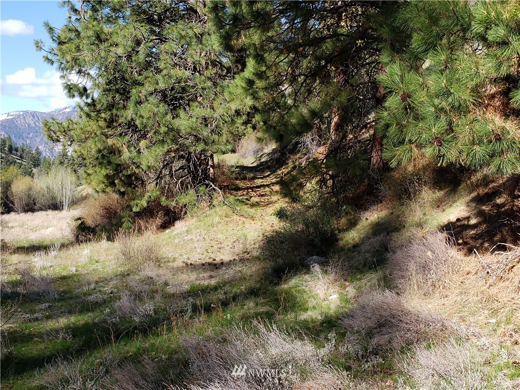 1 Canyon Ranch Road Manson, WA 98831 - Photo 11 of 16 Gallery Image 11