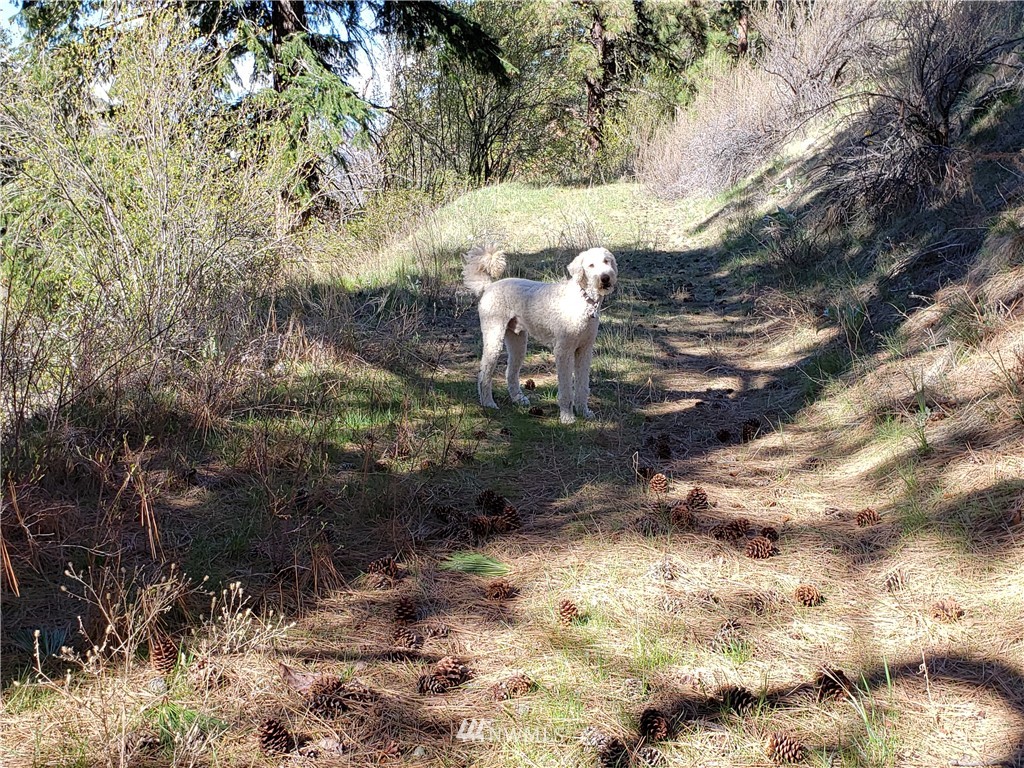 1 Canyon Ranch Road Manson, WA 98831 - Photo 12 of 16 Gallery Image 12