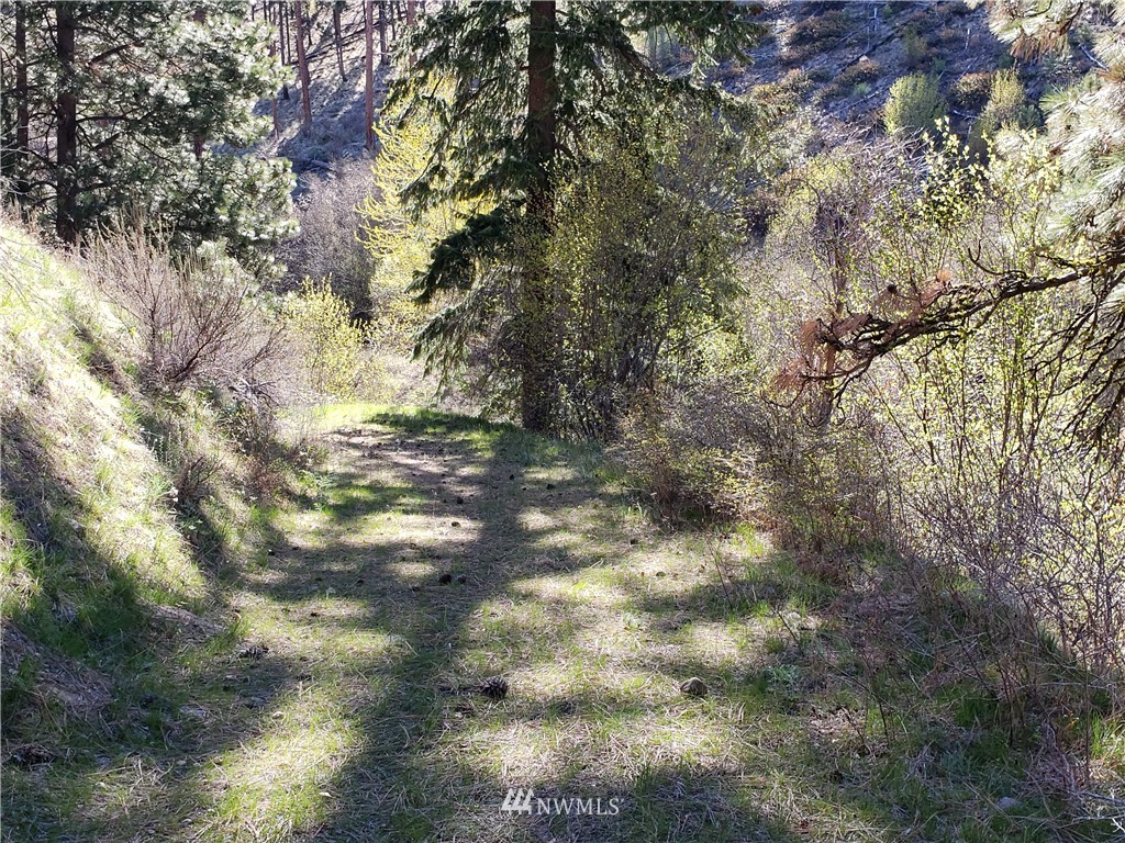 1 Canyon Ranch Road Manson, WA 98831 - Photo 13 of 16 Gallery Image 13