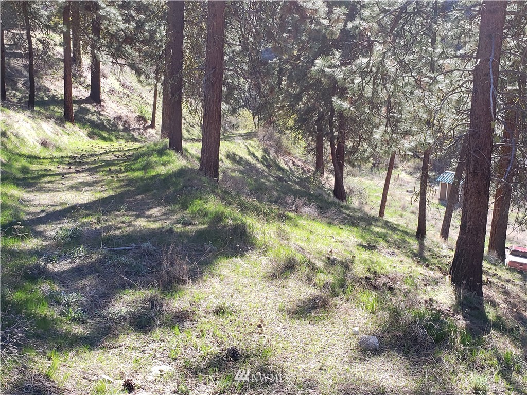 1 Canyon Ranch Road Manson, WA 98831 - Photo 14 of 16 Gallery Image 14