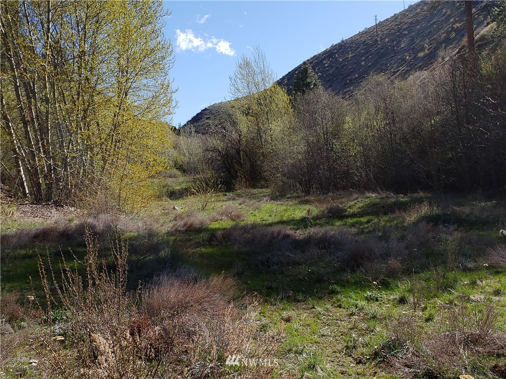 1 Canyon Ranch Road Manson, WA 98831 - Photo 15 of 16 Gallery Image 15