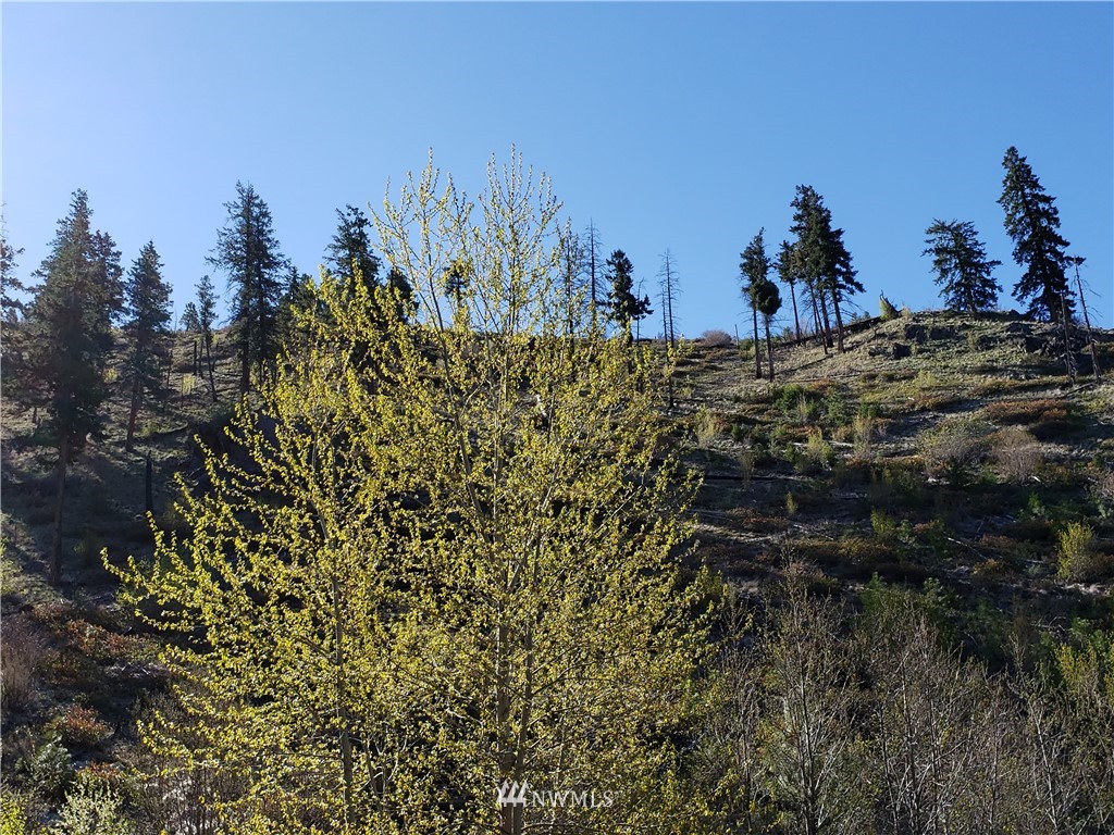 1 Canyon Ranch Road Manson, WA 98831 - Photo 16 of 16 Gallery Image 16