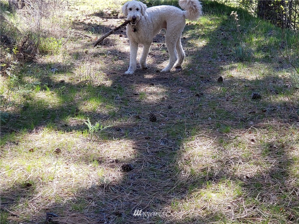 1 Canyon Ranch Road Manson, WA 98831 - Photo 3 of 16 Gallery Image 3