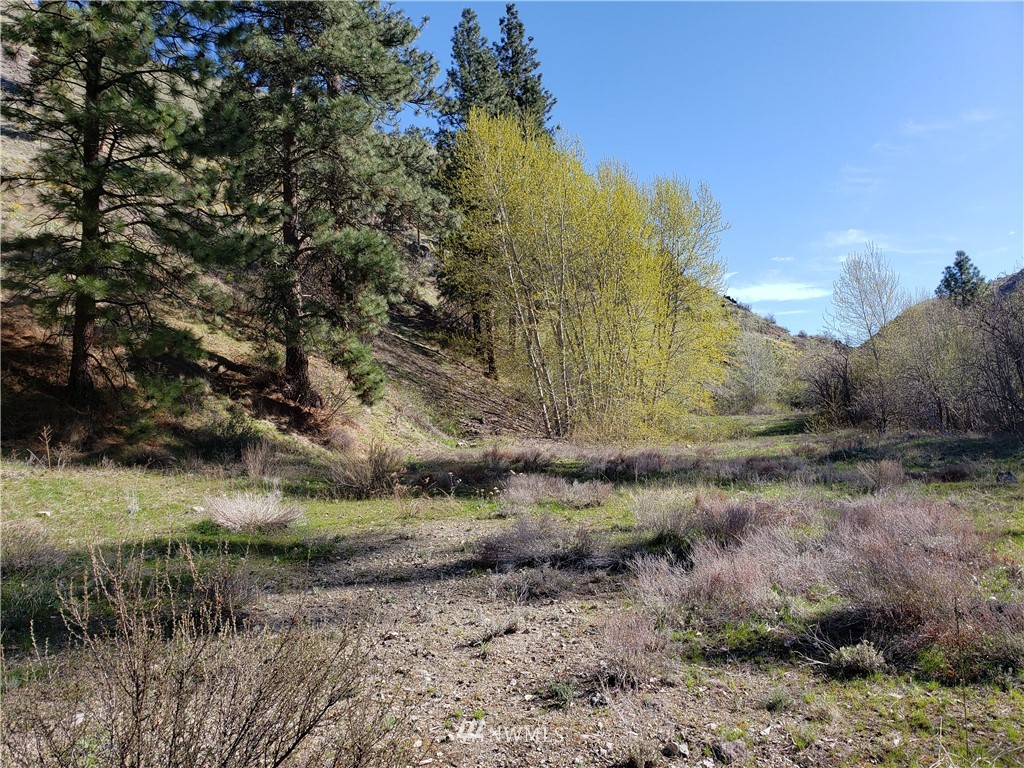 1 Canyon Ranch Road Manson, WA 98831 - Photo 4 of 16 Gallery Image 4