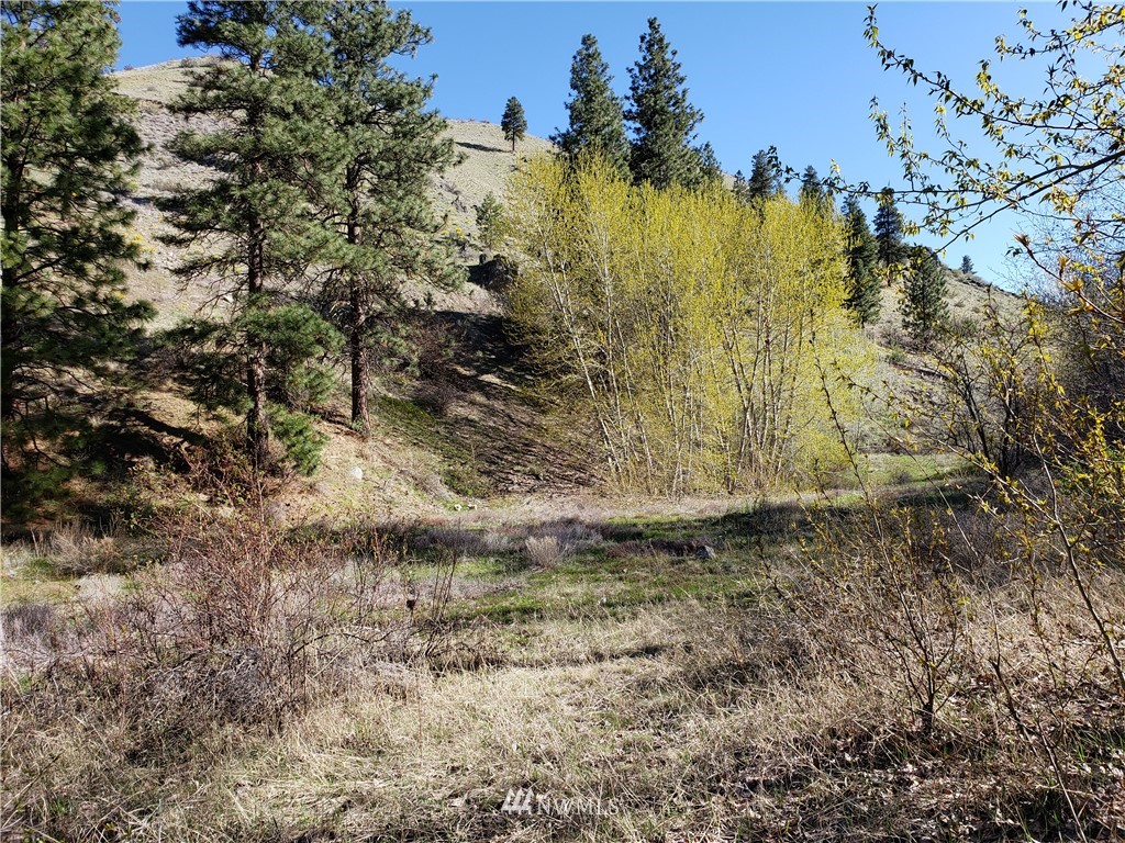 1 Canyon Ranch Road Manson, WA 98831 - Photo 5 of 16 Gallery Image 5