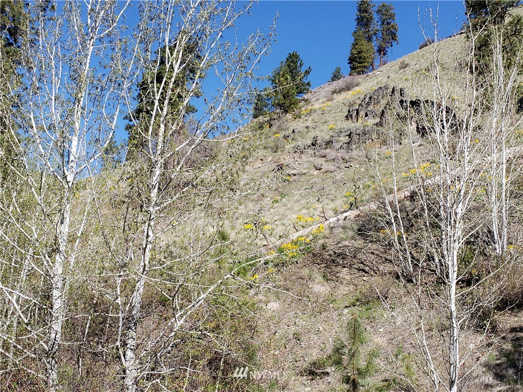 1 Canyon Ranch Road Manson, WA 98831 - Photo 7 of 16 Gallery Image 7