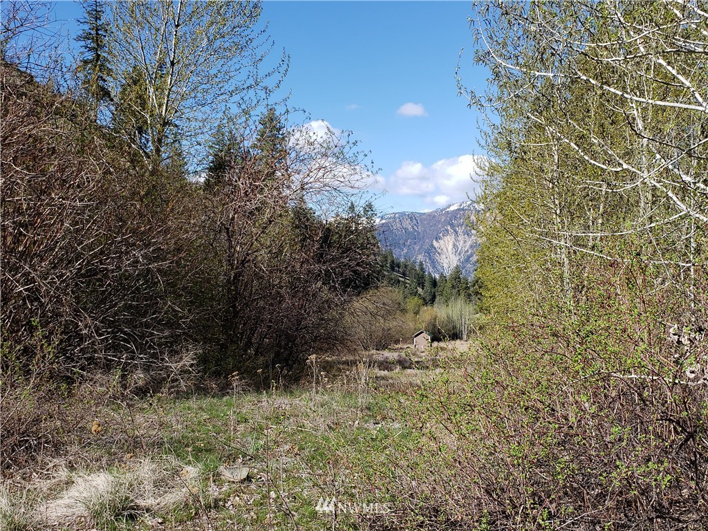 1 Canyon Ranch Road Manson, WA 98831 - Photo 8 of 16 Gallery Image 8