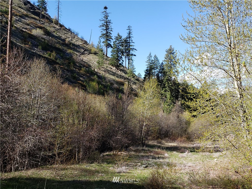 1 Canyon Ranch Road Manson, WA 98831 - Photo 9 of 16 Gallery Image 9