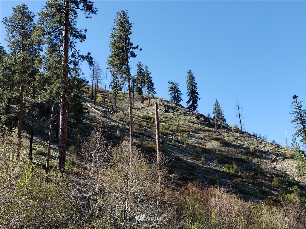 1 Canyon Ranch Road Manson, WA 98831 - Photo 10 of 16 Gallery Image 10