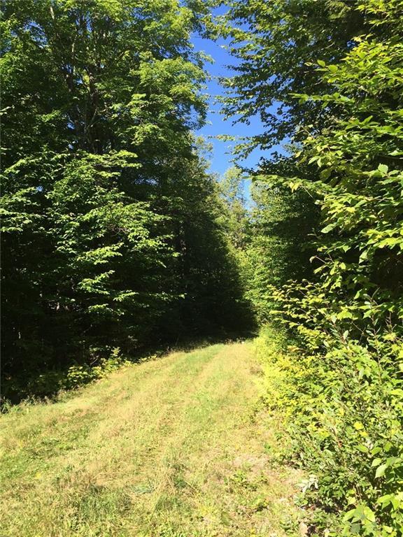 Tbd Back Forty West Forks, ME 04985 - Photo 1 of 10 wooded. peaceful. private.