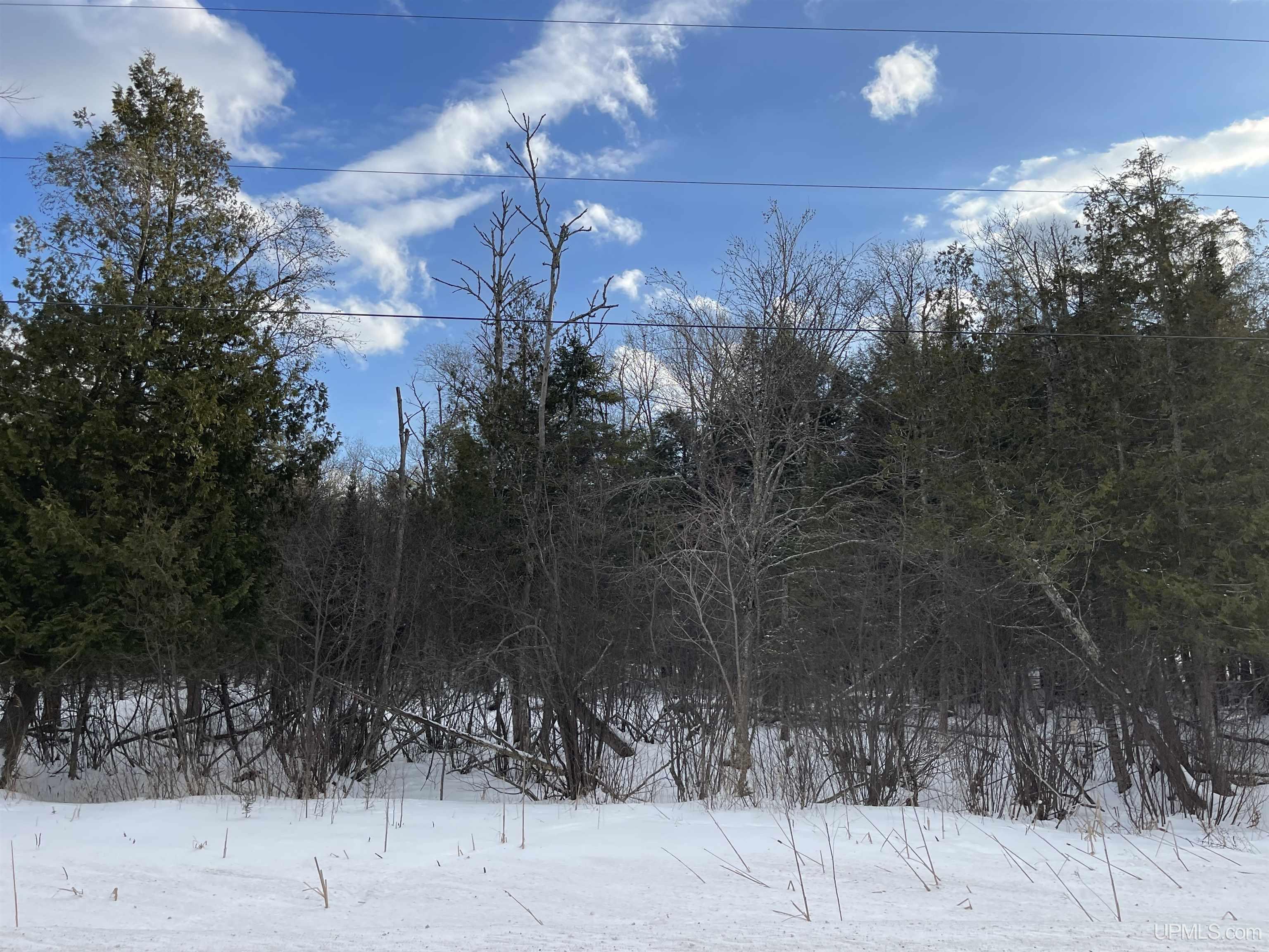 Tbd McDonald Lk Road Gulliver, MI 49840 - Photo 14 of 16