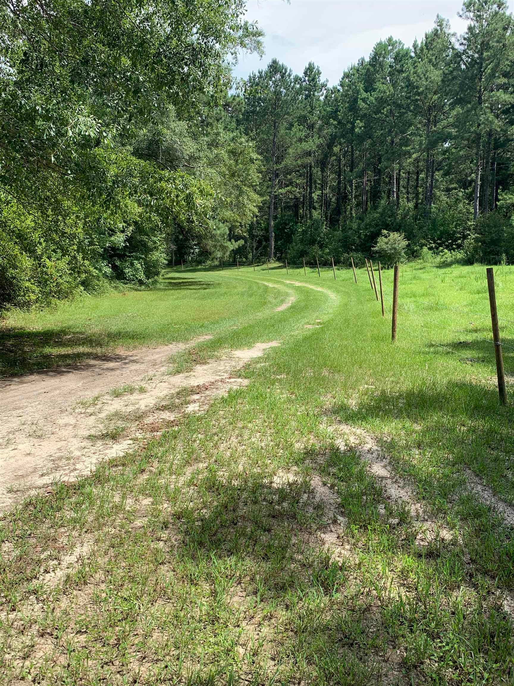 9271 Ivy Creek Road Brantley, AL 36009 - Photo 3 of 29 Gallery Image 3