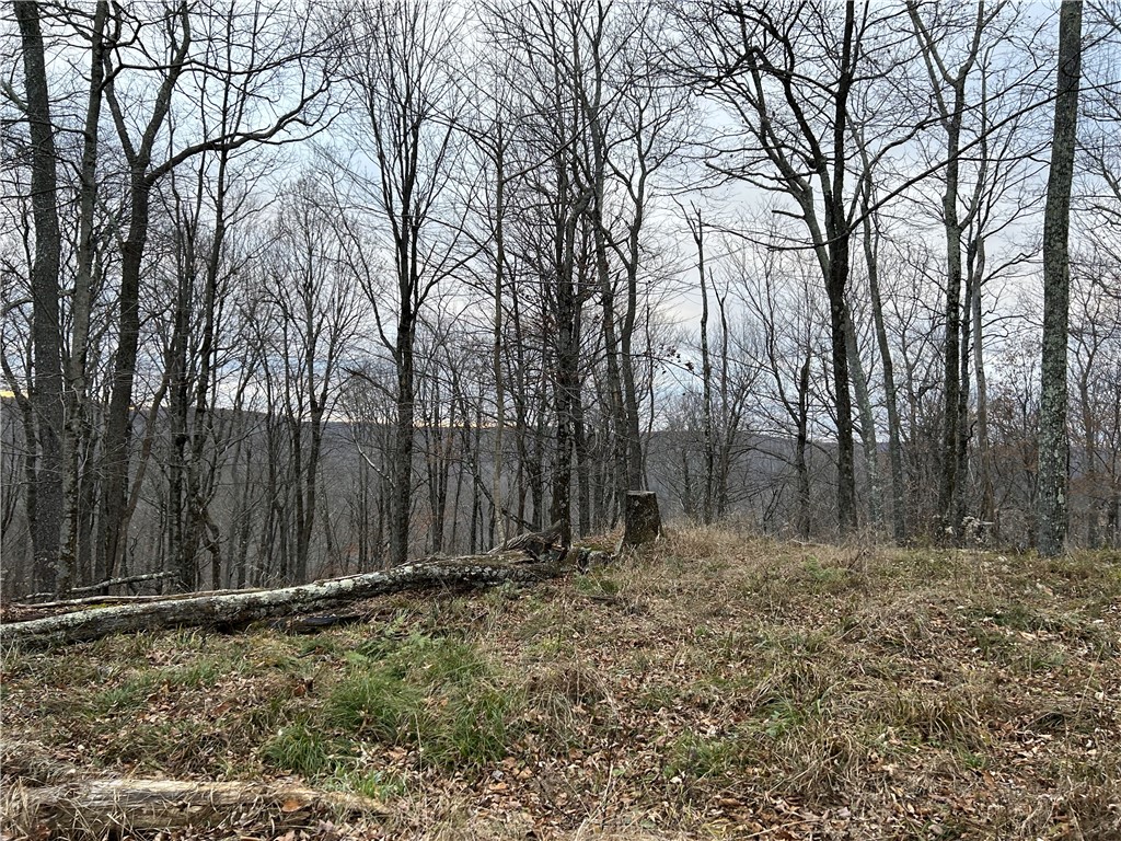 Upper Punchbowl Road Roscoe, NY 12776 - Photo 4 of 41