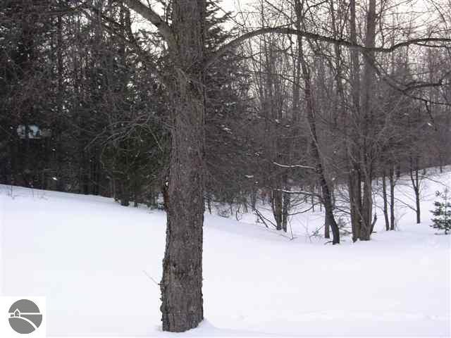 4679 North 27 Road Mesick, MI 49668 - Photo 20 of 25 1723527-19.JPG