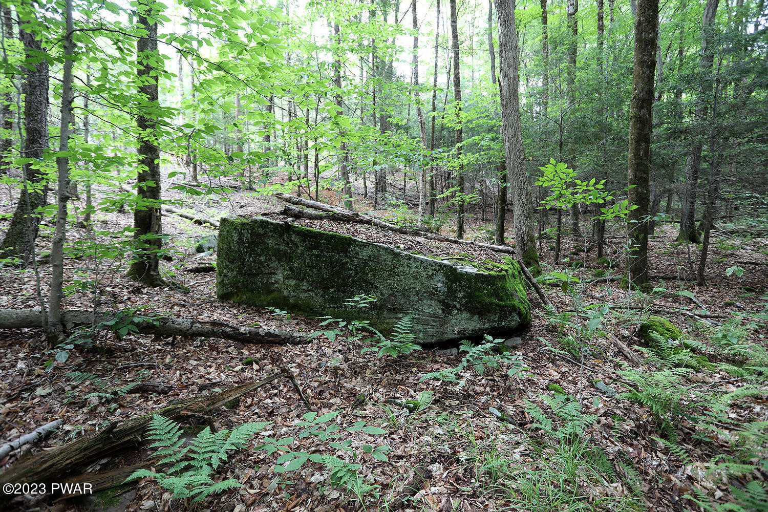 Lot D Spry Road Honesdale, PA 18431 - Photo 6 of 26