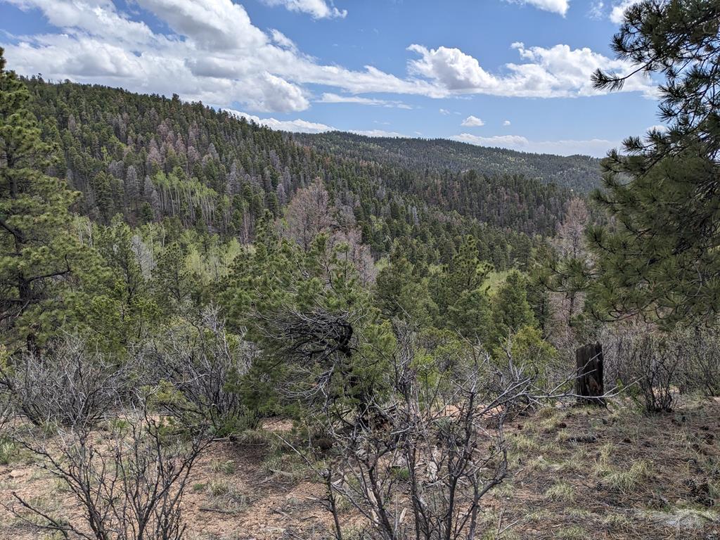 6151 Forbes Road San Luis, CO 81152 - Photo 11 of 15 Gallery Image 11