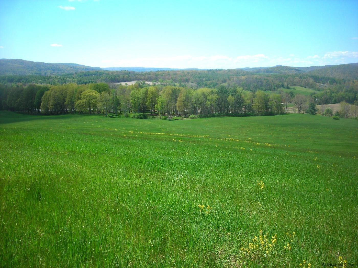 L34.10 Juniper Swamp Road Shushan, NY 12873 - Photo 1 of 10 Photo 1